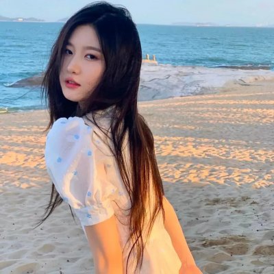 海龟奇妙之旅